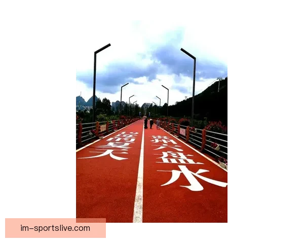 IM体育投注全面解析：玩法技巧策略与最新赛事动态全指南