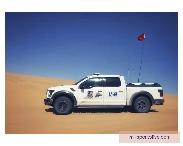 世界杯竞猜赔率平台最新分析与胜负预测全面指南