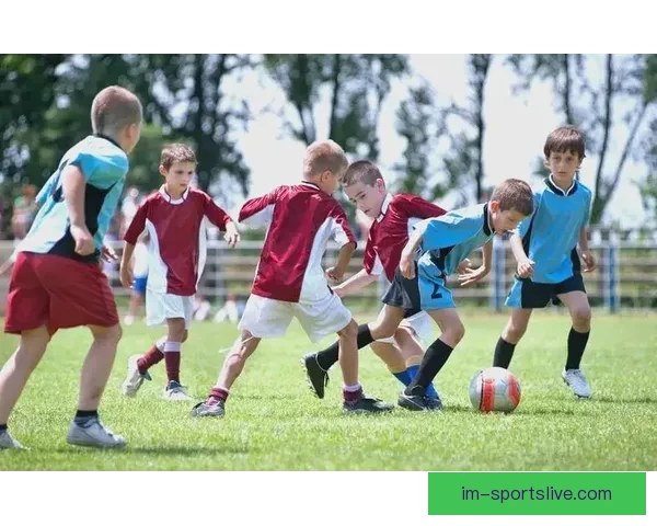 足球竞猜官网全方位解析与实战技巧助你轻松提升胜率指南